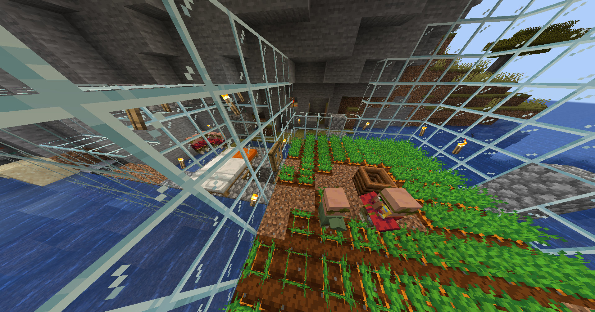 Village breeder, Constantiam